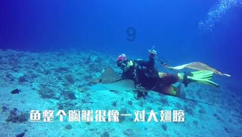 磁铁兄弟